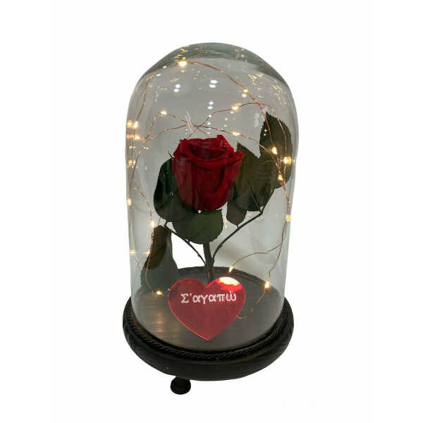 Κόκκινο παντοτινό τριαντάφυλλο σε γυάλα με φωτάκια και κόκκινη καρδιά plexi glass που γράφει Σ’αγαπώ. Διαστάσεις 17×30εκ. For ever roses. Αποχυμωμένο αληθινό τριαντάφυλλο που κρατάει για πάντα μέσα στην γυάλα.
