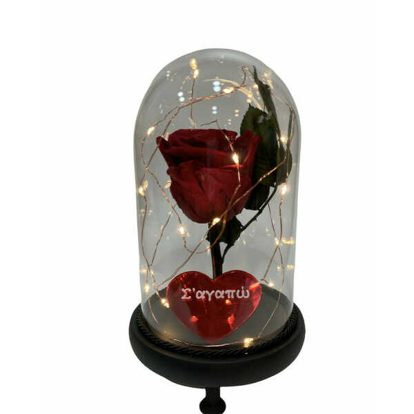 Κόκκινο παντοτινό τριαντάφυλλο σε γυάλα με φωτάκια και κόκκινη καρδιά plexi glass που γράφει Σ’αγαπώ. Διαστάσεις 14×25εκ. For ever roses. Αποχυμωμένο αληθινό τριαντάφυλλο που κρατάει για πάντα μέσα στην γυάλα.